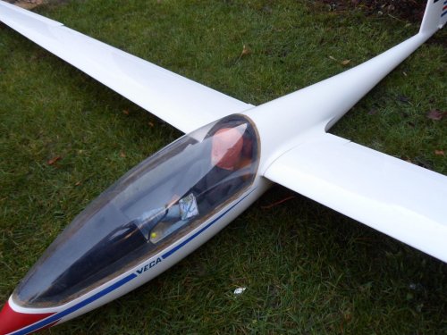 pat teakle vega wings